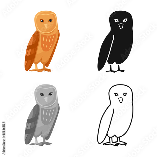 Vector illustration of bird and owl icon. Collection of bird and nature stock symbol for web.