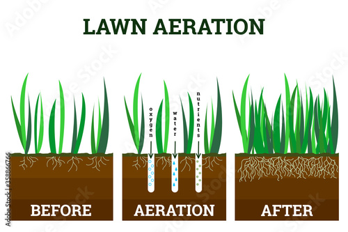 Vector illustration of stages lawn aeration. Before and after steps. Concept of lawn grass care, gardening service, benefits of aeration. Water, air and fertilizer having easy access to soil photo