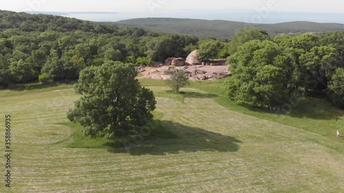 Shooting from the drone. The forest and rocky formations of unusual shape on top of a hill 
located on the seashore.