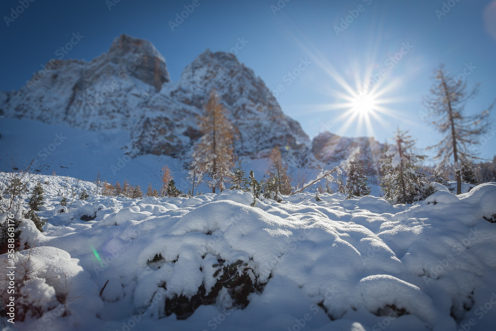 Tilt shift effect of Monte Pelmo after an abundant snowfall, with larch from autumn colors. Concept: winter landscapes of the Dolomites, Christmas atmosphere, Unesco world heritage