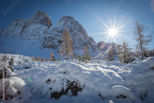 Tilt shift effect of Monte Pelmo after an abundant snowfall  with larch from autumn colors. Concept  winter landscapes of the Dolomites  Christmas atmosphere  Unesco world heritage