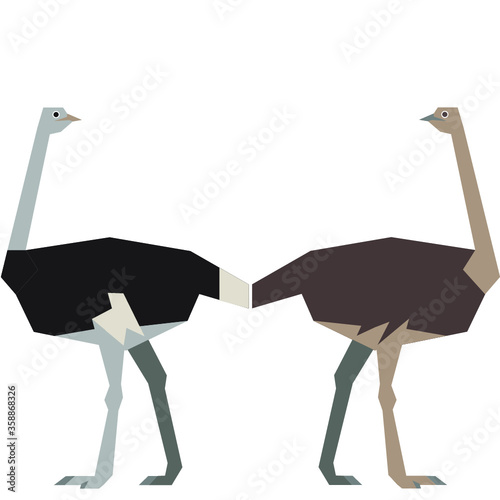 bird, dinosaur, paleoart, paleotology, fossil, extinct, minimalism, minimalist, graphic, geometric, stylized, color,