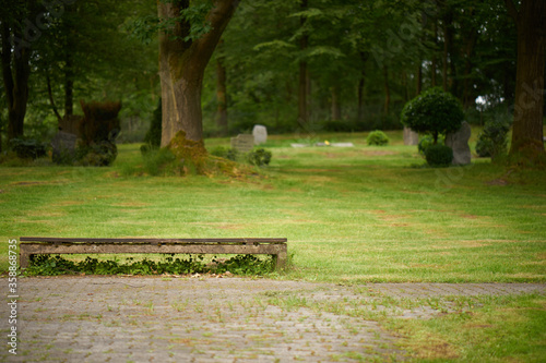 park bench in cemetry park