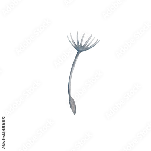 A gray and blue parachute or dandelion seed  hand-painted in watercolor. Isolated on white background design element.