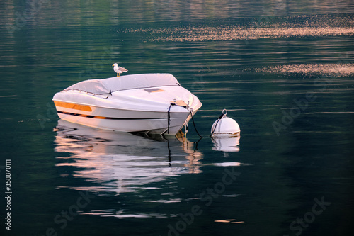The seagull and the boat photo