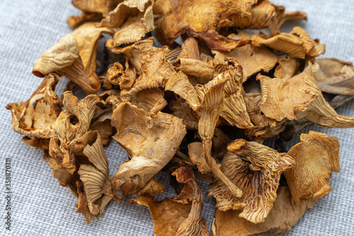 dried mushrooms on coarse tissue