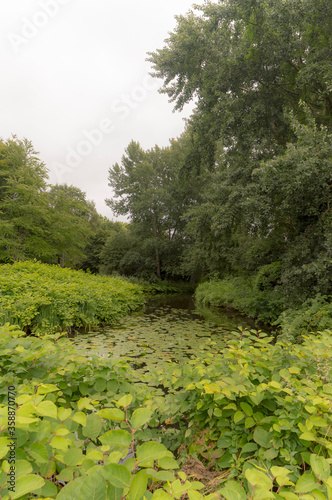 Gaasperplas park in Amsterdam, The Netherlands photo