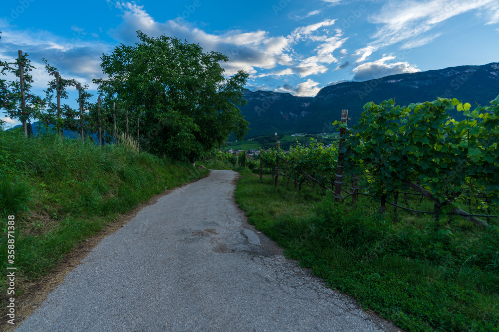 Eppan an der Weinstrasse in Italian South Tyrol