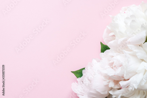 Fototapeta Naklejka Na Ścianę i Meble -  White peonies on a pink background. Copy space and flat lay.