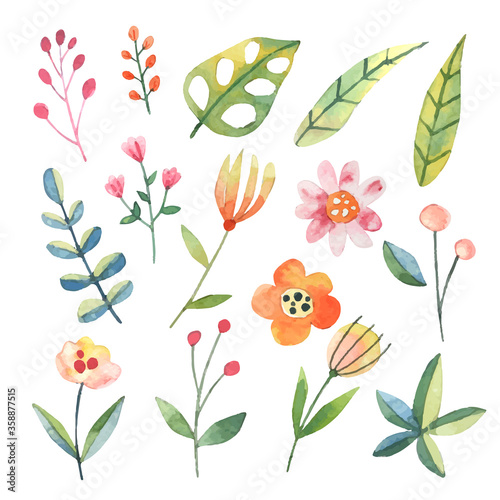 Water color botanical cute flower and leaf graphic cartoon style with isolated arrangement set on white background illustration vector. Suitable for vacation day and various design elements. 