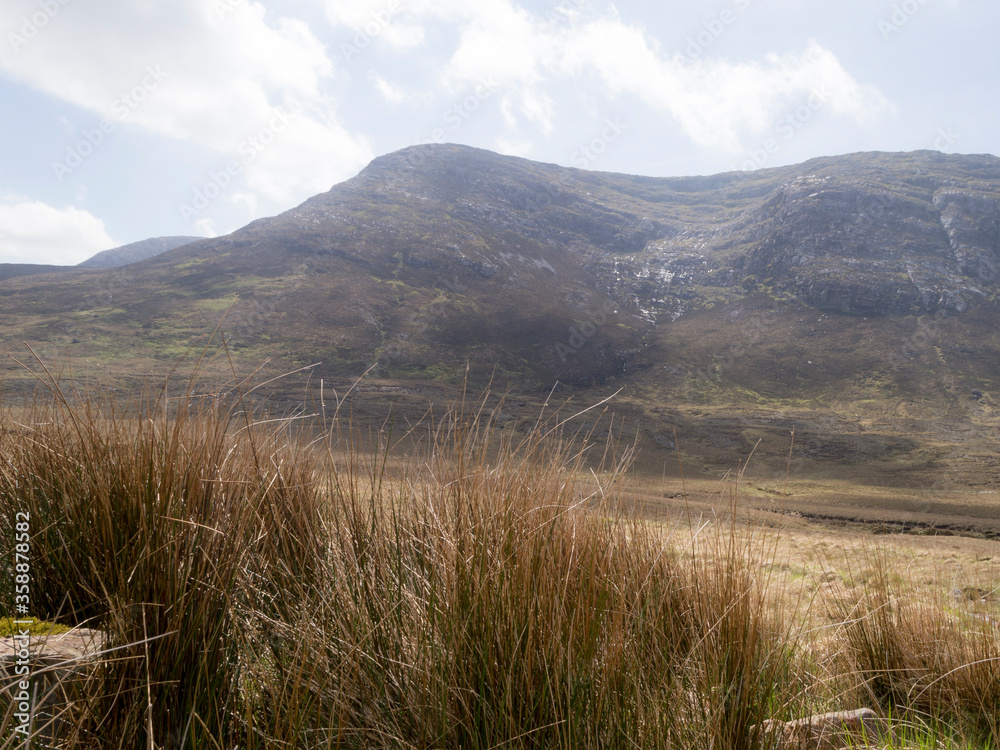 Fototapeta premium grass and mountains
