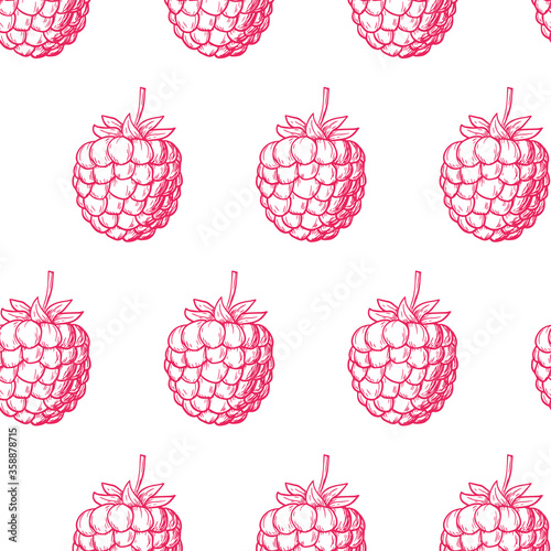 Seamless pattern with pink raspberry on white background. Vector hand drawn illustration in engraving style. Detailed vegetarian food. Good for fabric print, wrapping paper, wallpapers, cards. 