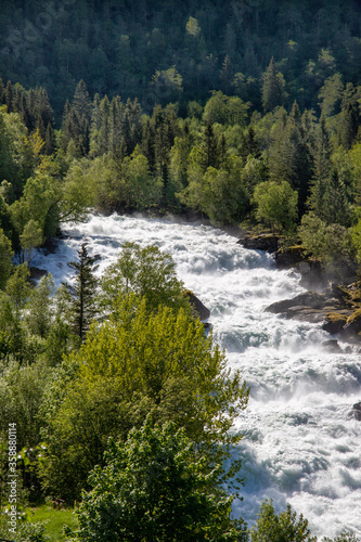 waterfall in the forest