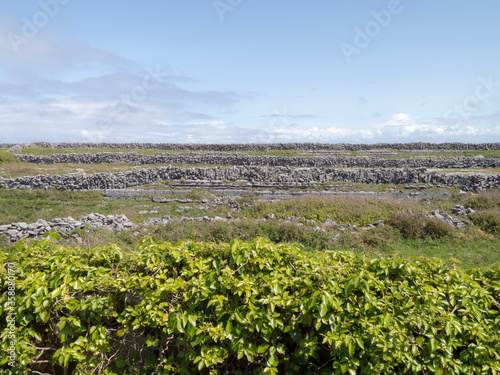 Landscape with stone walls