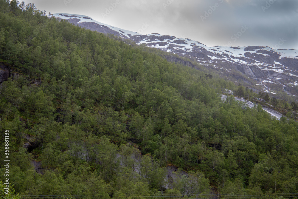 Fototapeta premium mountain landscape with trees