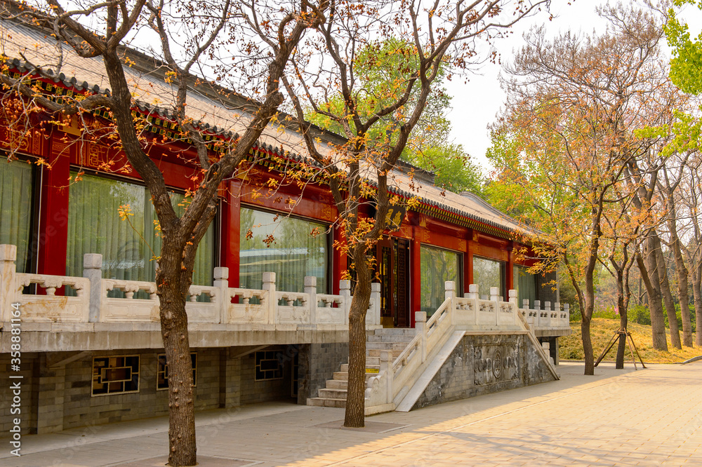 It's Nature of the Beijing Zoo, a zoological park in Beijing, China. Founded in 1906