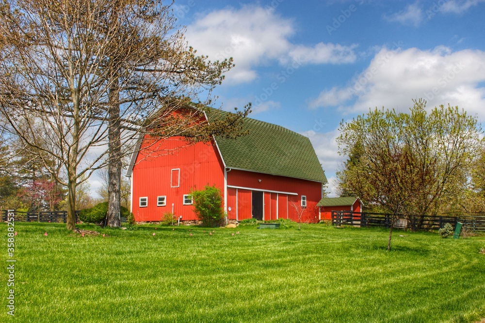 Obraz premium 1002 - Barber Road Red (1002-BAR-051620-1246P)