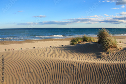 Natural and wild beach with a beautiful and vast area of dunes, Camargue region in the South of Montpellier, France 