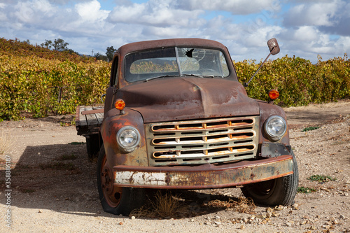 Rusty old flatbed truck in a vineyard with broken windshield