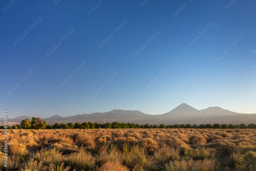 Atacama desert, Chile, Andes, South America. Beautiful view and landscape.