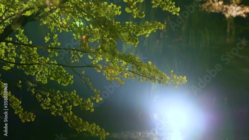 夏の夜景空
