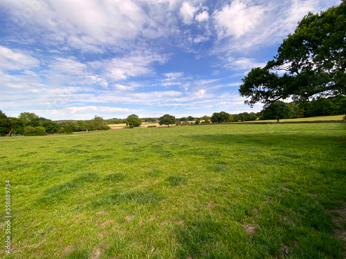 Large open meadow  with wild flowers and trees in  Tong  Bradford  UK