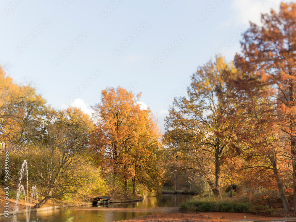 Tilt-shift photo of the botanical gardens in Utrecht 