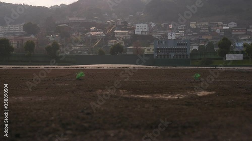 野球場イメージ