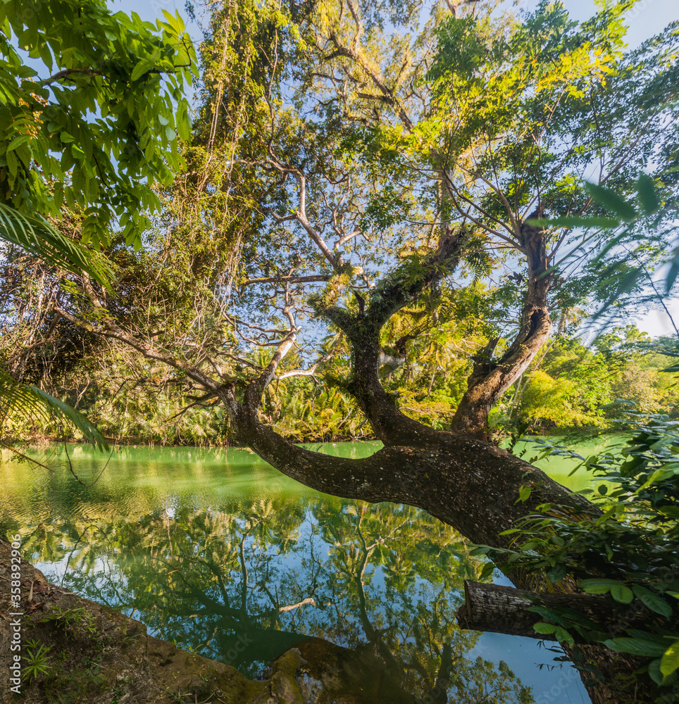 Fototapeta premium View of Loboc river on Bohol island, Philippines