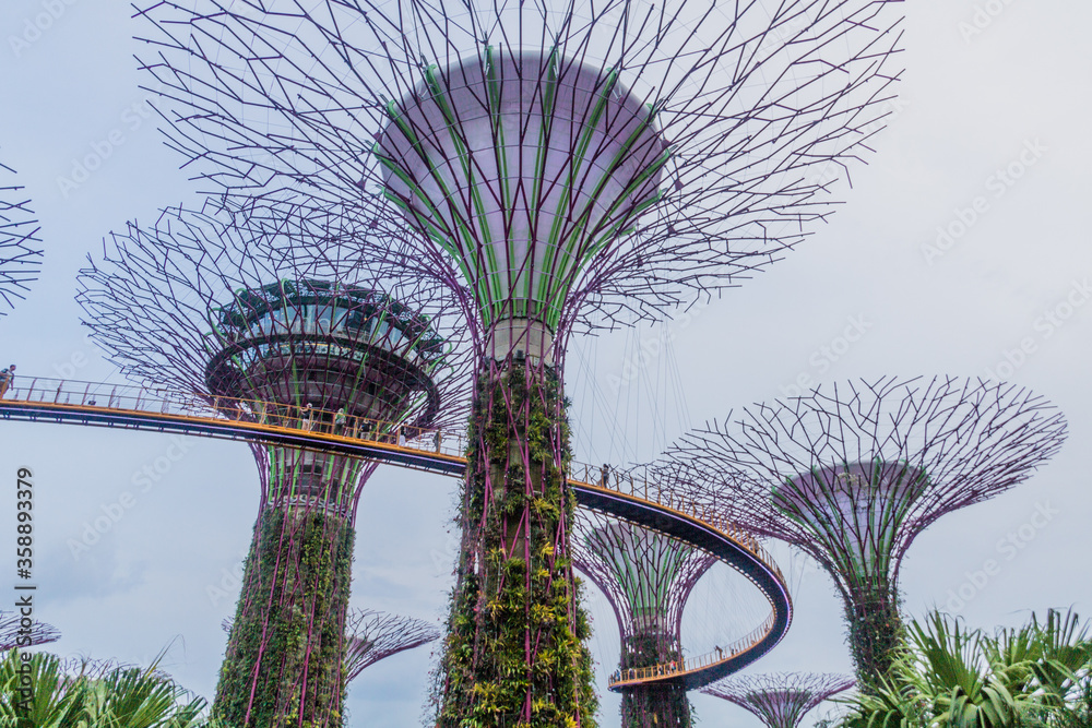 Fototapeta premium Supertree grove, Garden by the Bay, Singapore