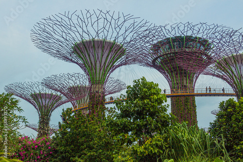 SINGAPORE, SINGAPORE - MARCH 10, 2018: Supertree grove at the Garden by the Bay, Singapore © Matyas Rehak