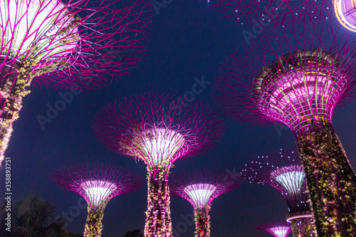 Evening view of Supertree Grove in Singapore