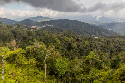 Landscape of the Cameron Highlands  Malaysia