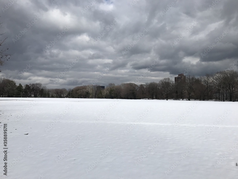 ニューヨークの積雪 ニューヨークの積雪