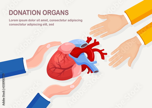 Donation organs. Donor heart for cardiac transplantation. Volunteer aid for the patient. Vector cartoon design