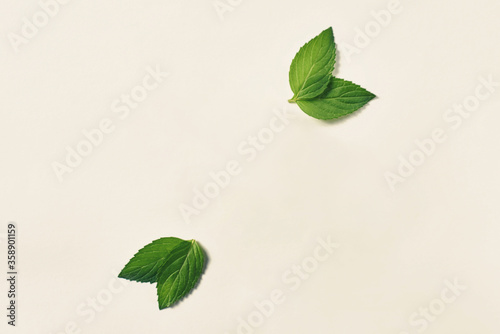 Colorful Mint leaves for beauty or health background design
