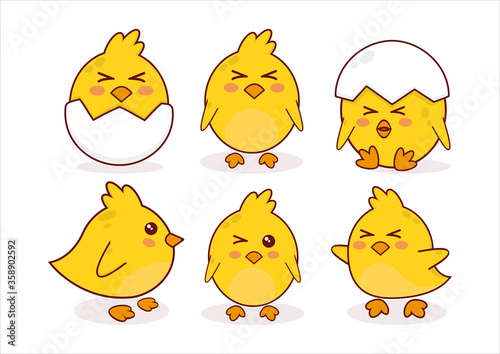 cute cartoon chicks design. Chicken animal character design