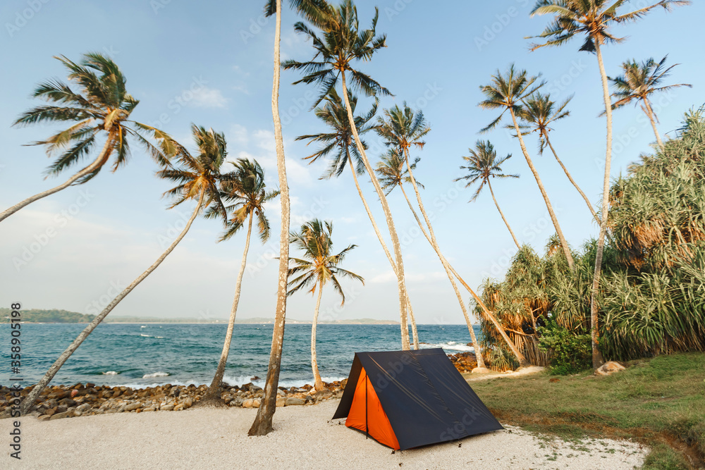 Tent on the beautiful beach and sky background beteen coconut palm trees. Beach vacation, summer camping concept
