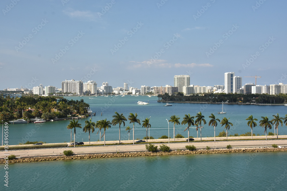 Naklejka premium miami