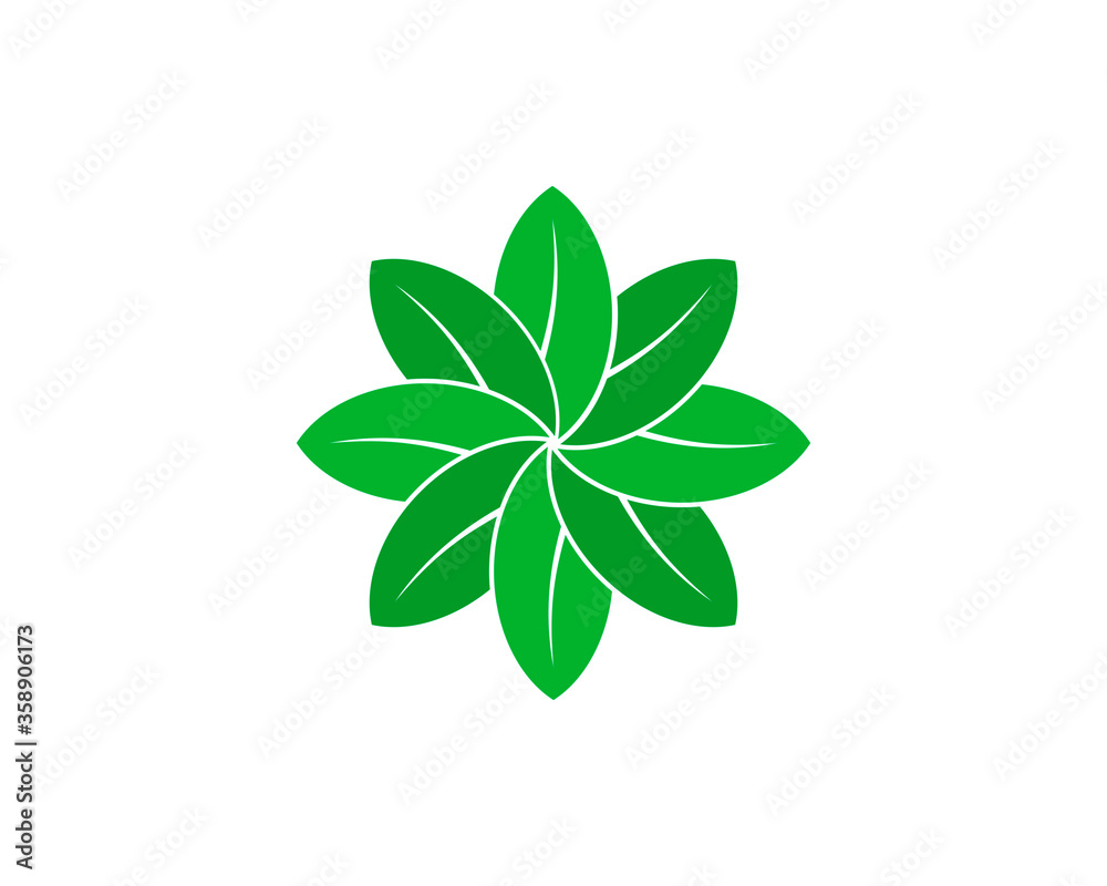 Nature spiral leaf