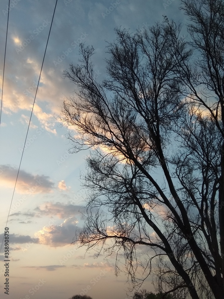 Fototapeta premium sunset over the river