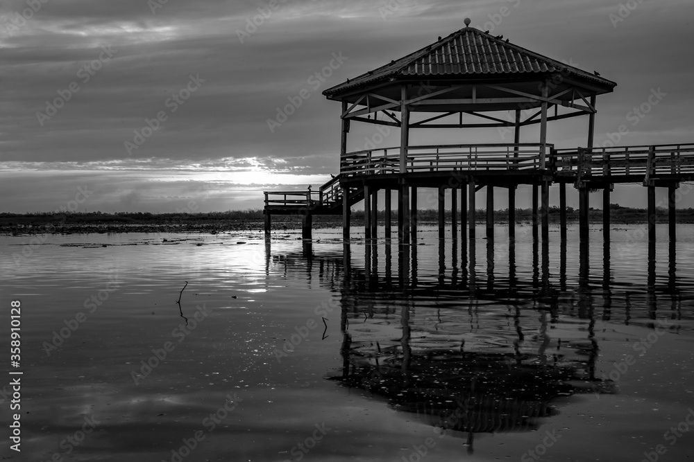 Black and White or bw photo image of single one or alone vintage pavilion in lake or swamp with birds at Phichit Thailand.