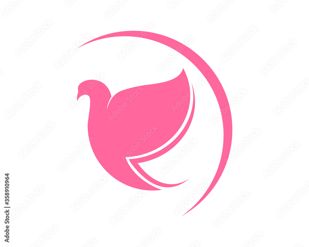 Pigeon with woman connection Pigeon with woman connection