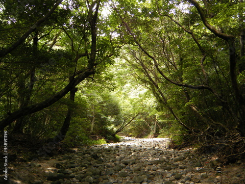 屋久島