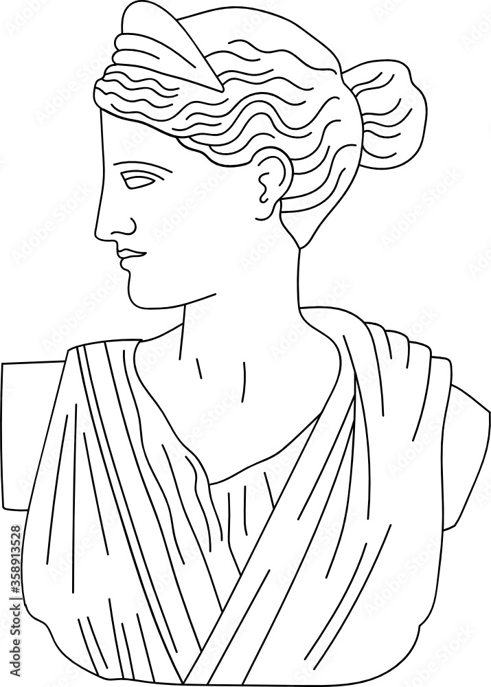 aesthetic greek bust sculpture line art woman Stock Vector Adobe Stock