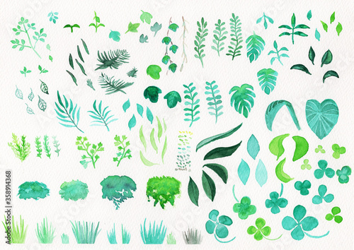 watercolor leaves clipart