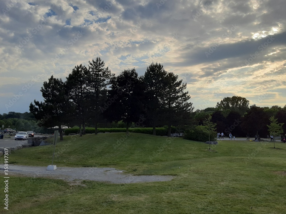 Obraz premium sunset in the park