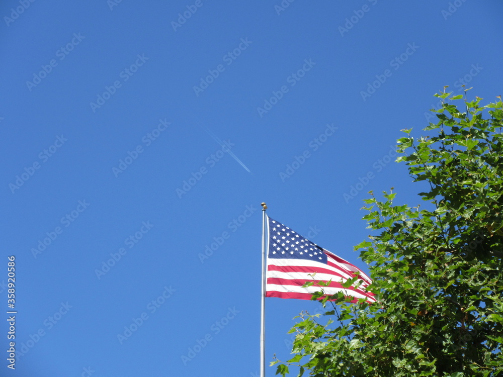 Fototapeta premium カリフォルニア