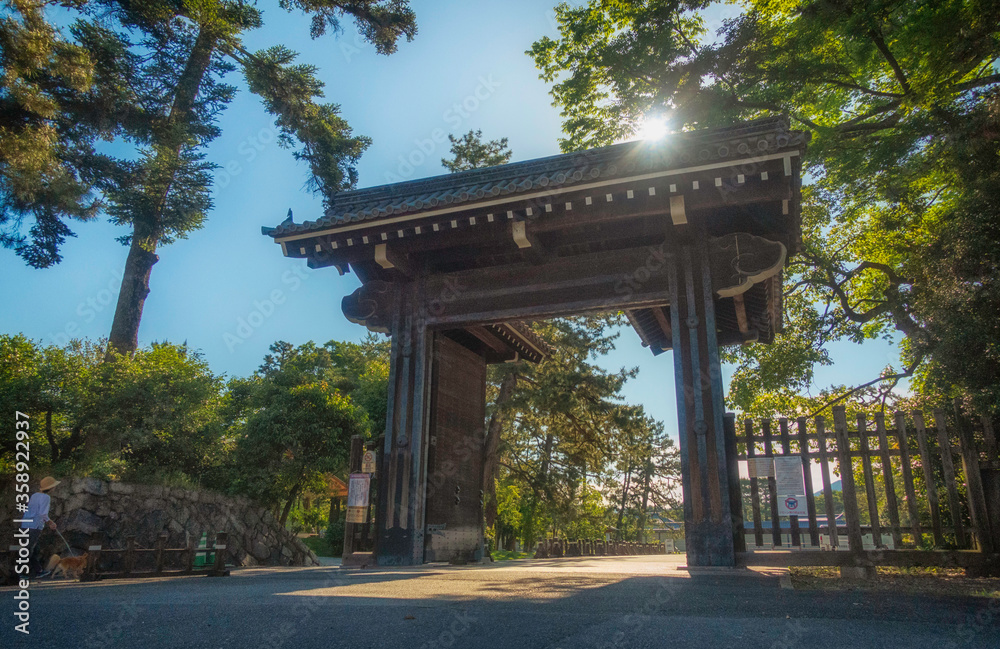 京都御苑の中立売御門と新緑の風景です