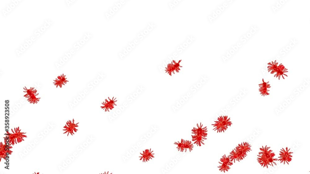 Virus, bacteria , infection. Isolate. Alpha matte include. Realistic 3d render. Realistic motion. Virus, bacteria , infection. Isolate. Alpha matte include. Realistic 3d render. Realistic motion.
